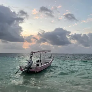 Gasthuis Home's Jungle Puerto Morelos 20 Minutes From The Airport, Cancún